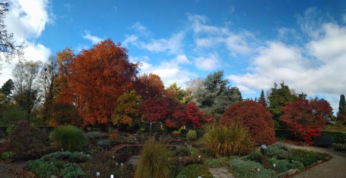 Landschaft mit Sträuchern, BäumenSträucher